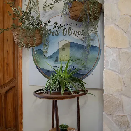 Boutique - Dos Olivos Quesa